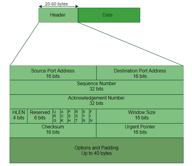 TCP Segment Structure